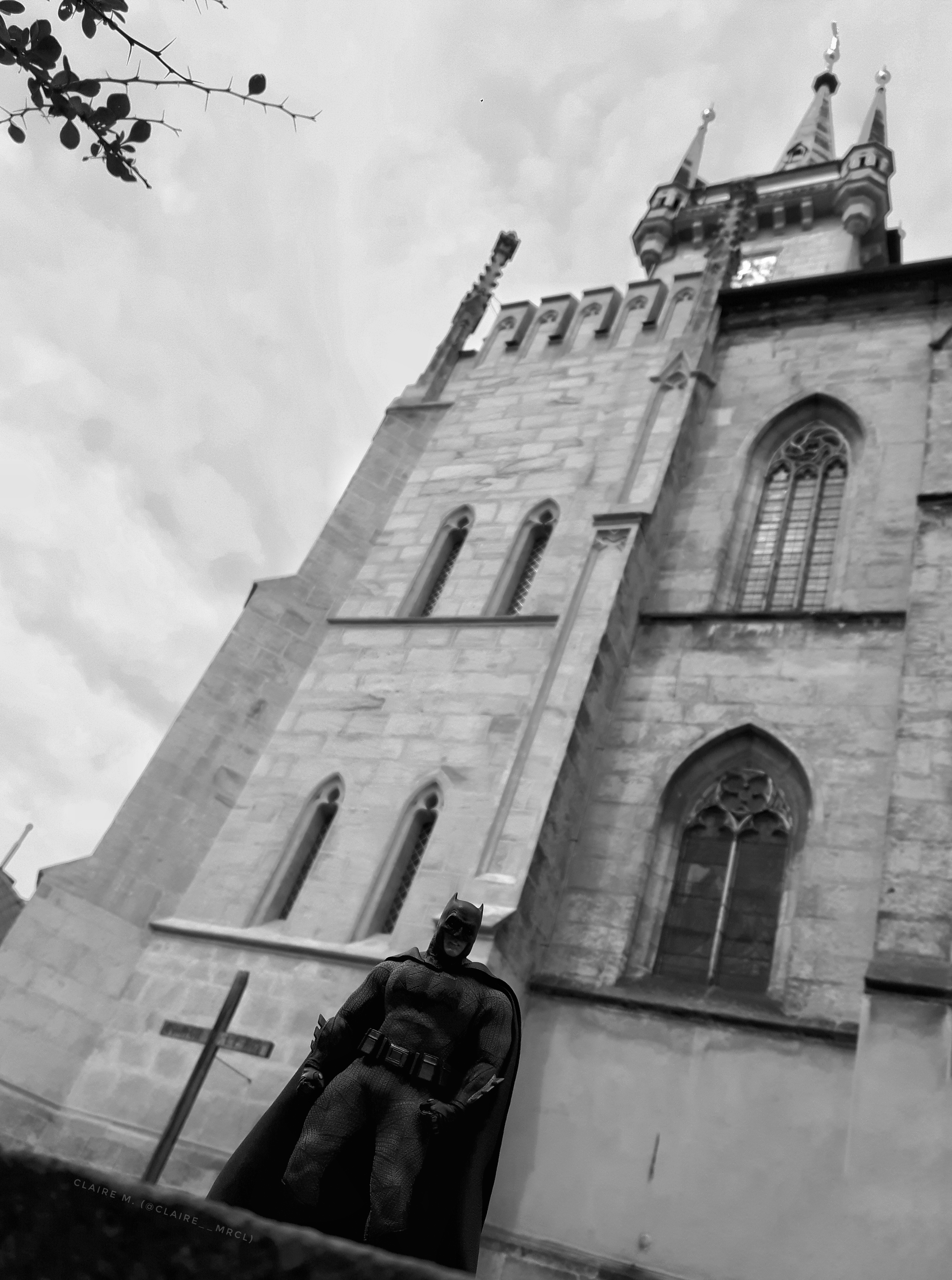 Gotham's silent Guardian - original-Claire M