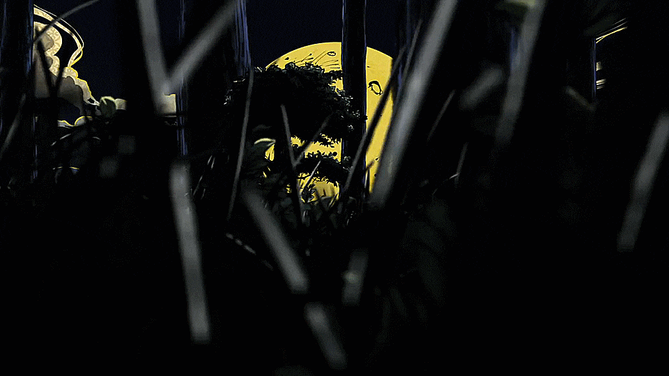 ezgif.com-optimize (2).gif