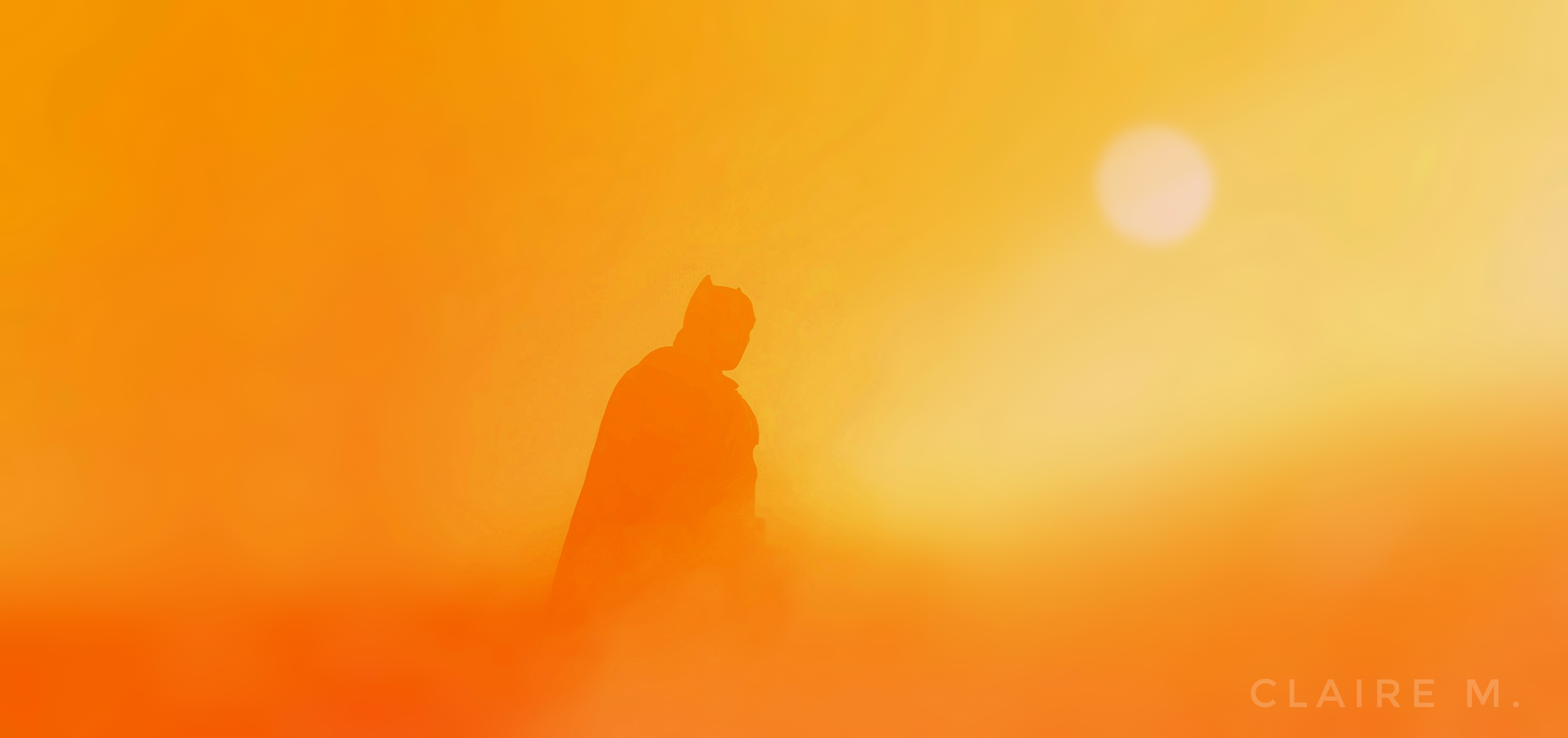 1530369581523-01-01-01